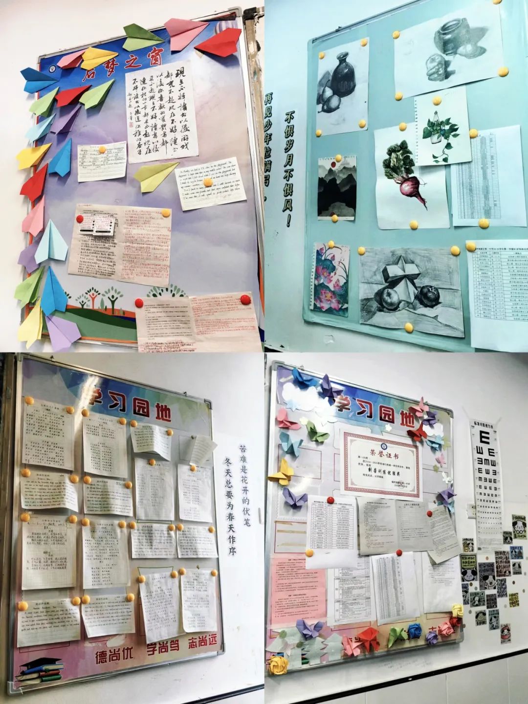 点亮学习空间 绽放班级风采——我校开展"最美教室"评比活动